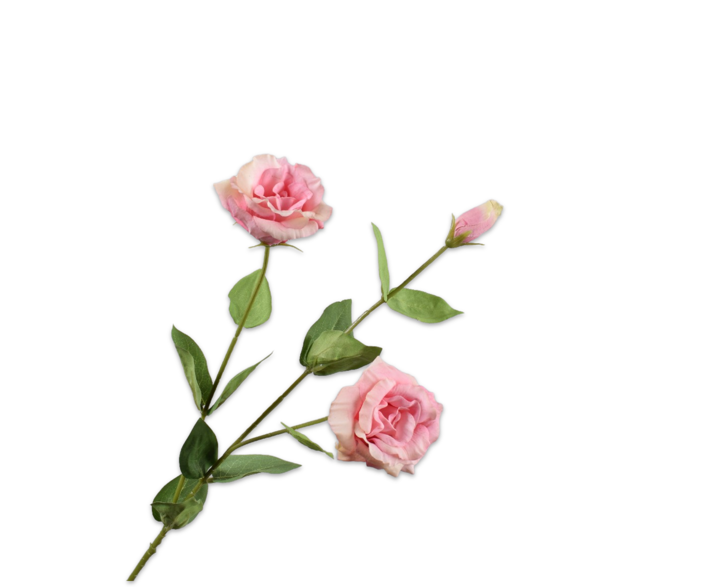 Lisianthus Spray Pink LT 71 cm
