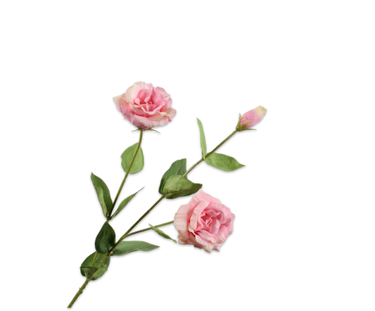 Lisianthus Spray Pink LT 71 cm