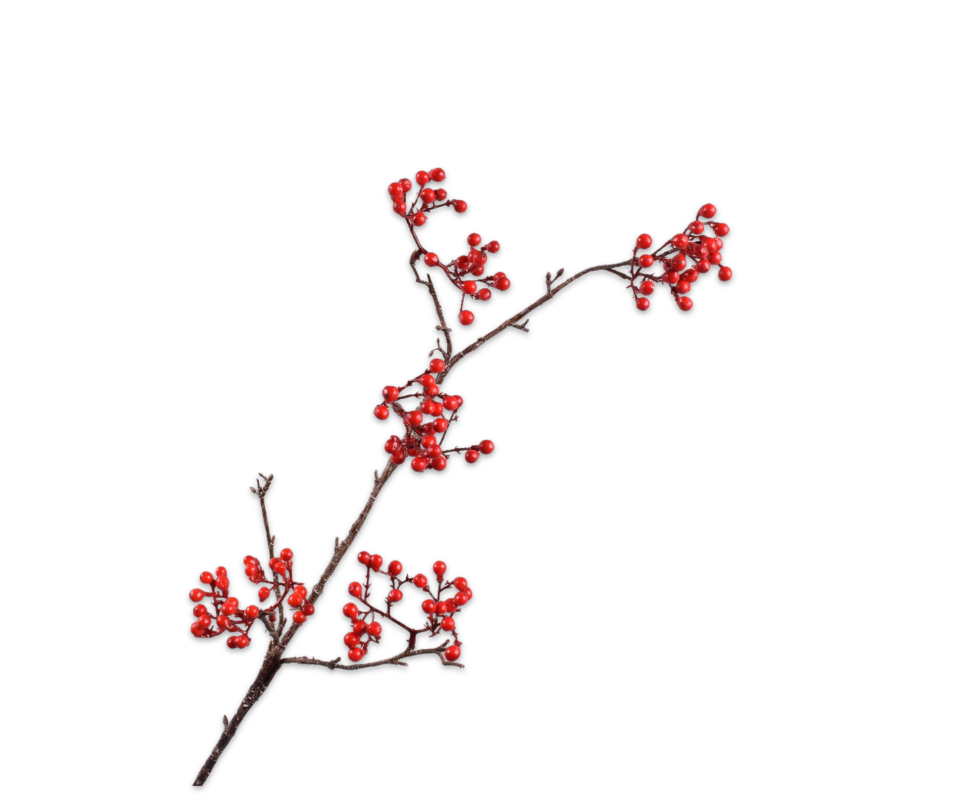 Berry Spray Red