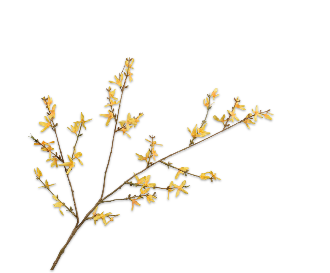 Forsythia Spray Yellow 80 cm