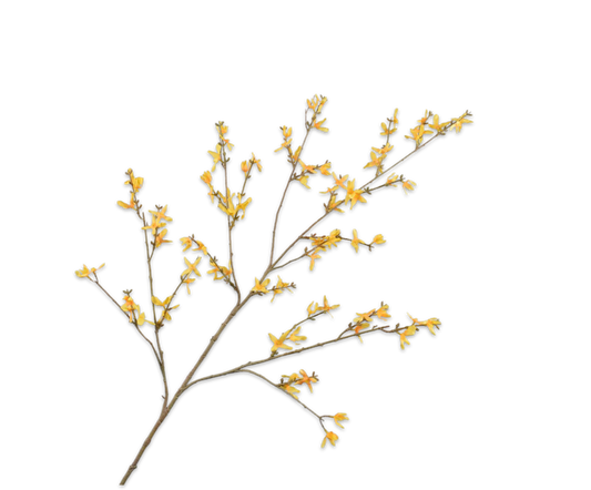 Forsythia Spray Yellow 120 cm