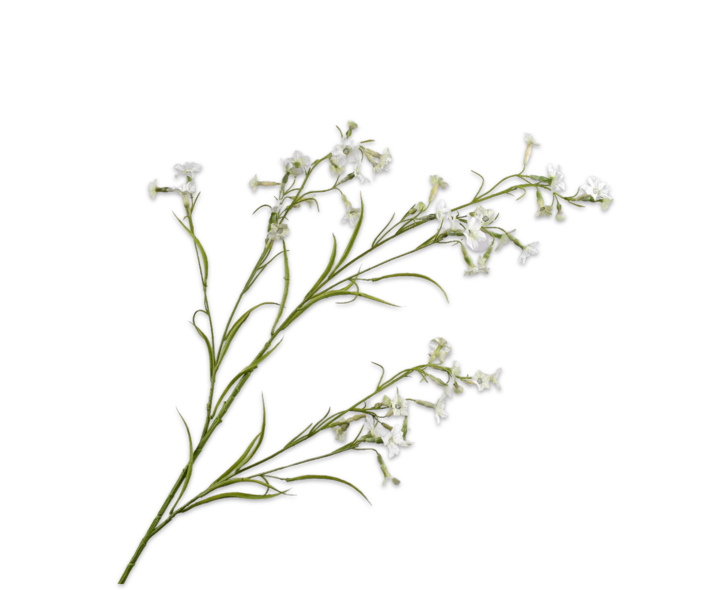 Datura Spray Cream 117 cm