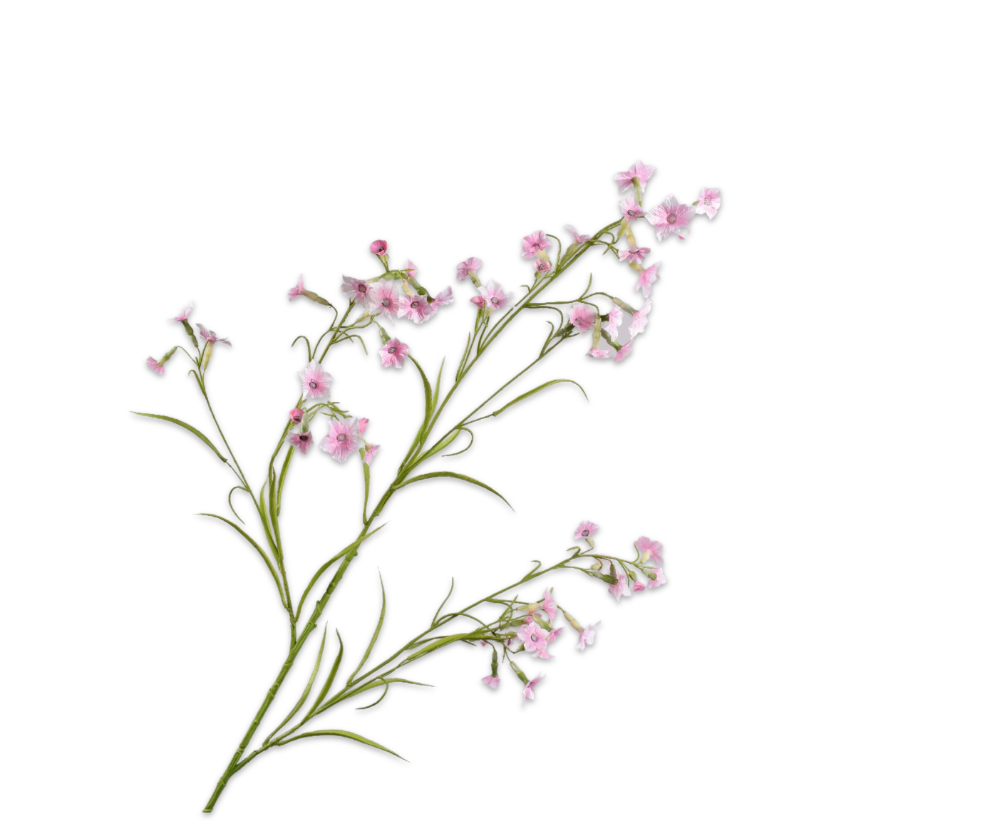 Datura Spray Pink 117 cm