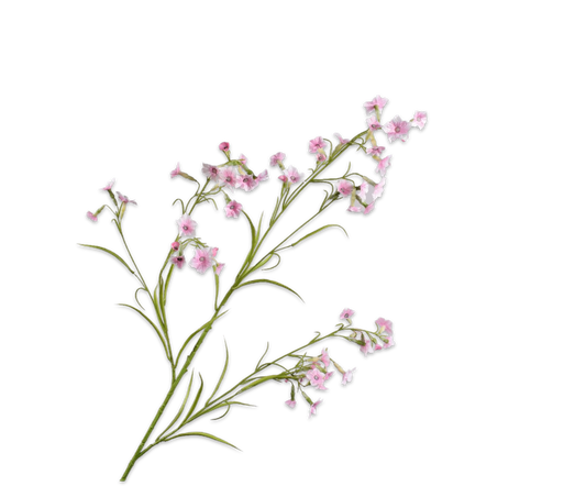 Datura Spray Pink 117 cm