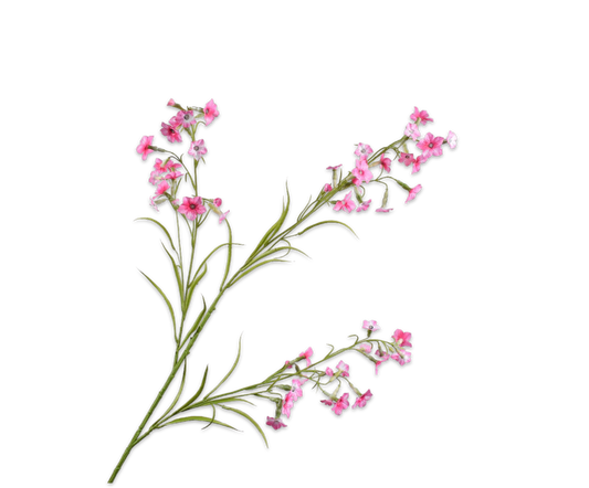 Datura Spray Pink Dk 117 cm