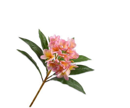 Plumeria Spray Pink  81 cm