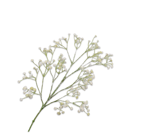 Gypsophila Spray White 67 cm