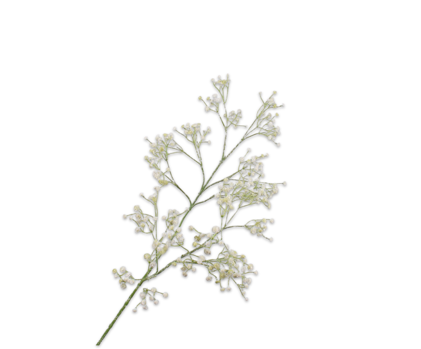 Gypsophila Spray White 90cm