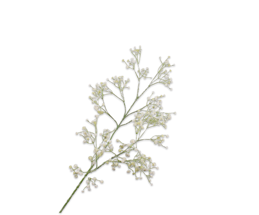 Gypsophila Spray White 90 cm