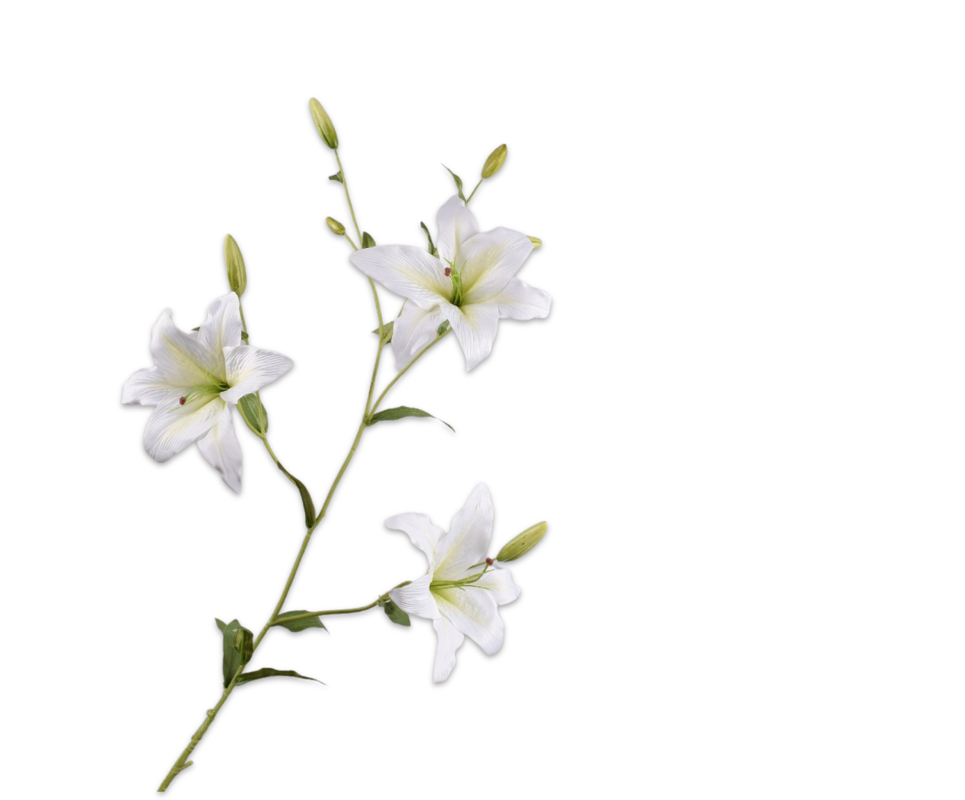 Lily Spray White
