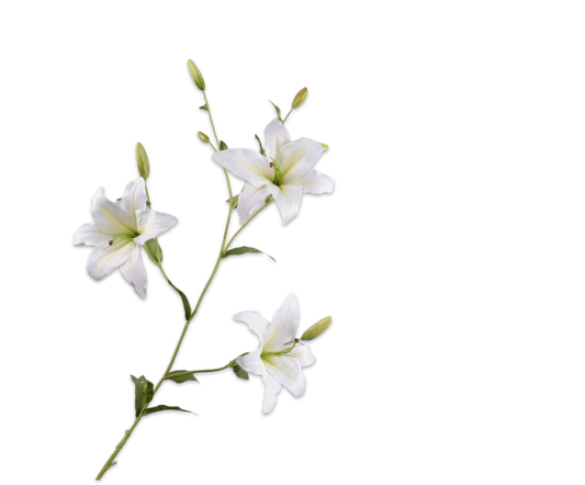 Lily Spray White 132 cm