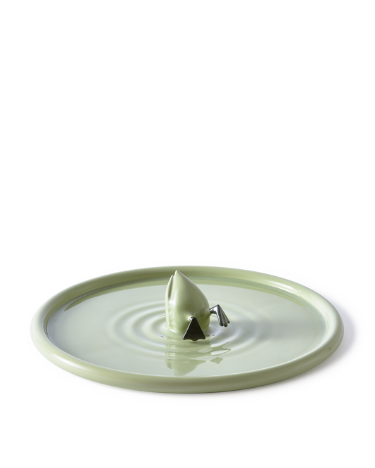 Diving Duck Plate
