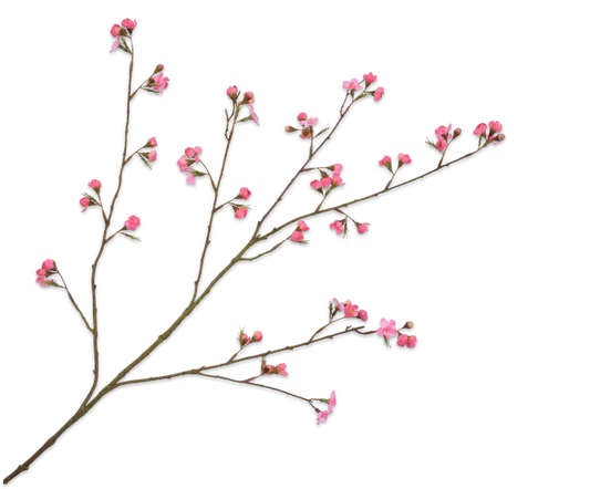 Blossom Spray Pink DK 119 cm