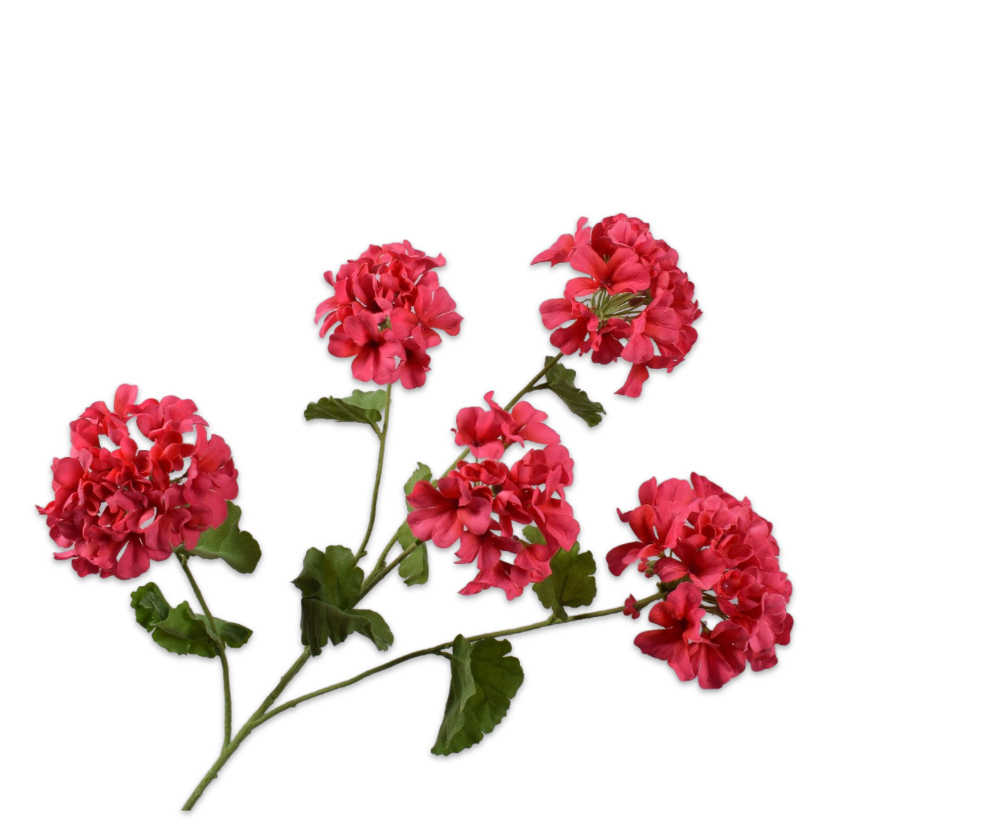 Pelargonium Spray Pnk/bty 94 Cm