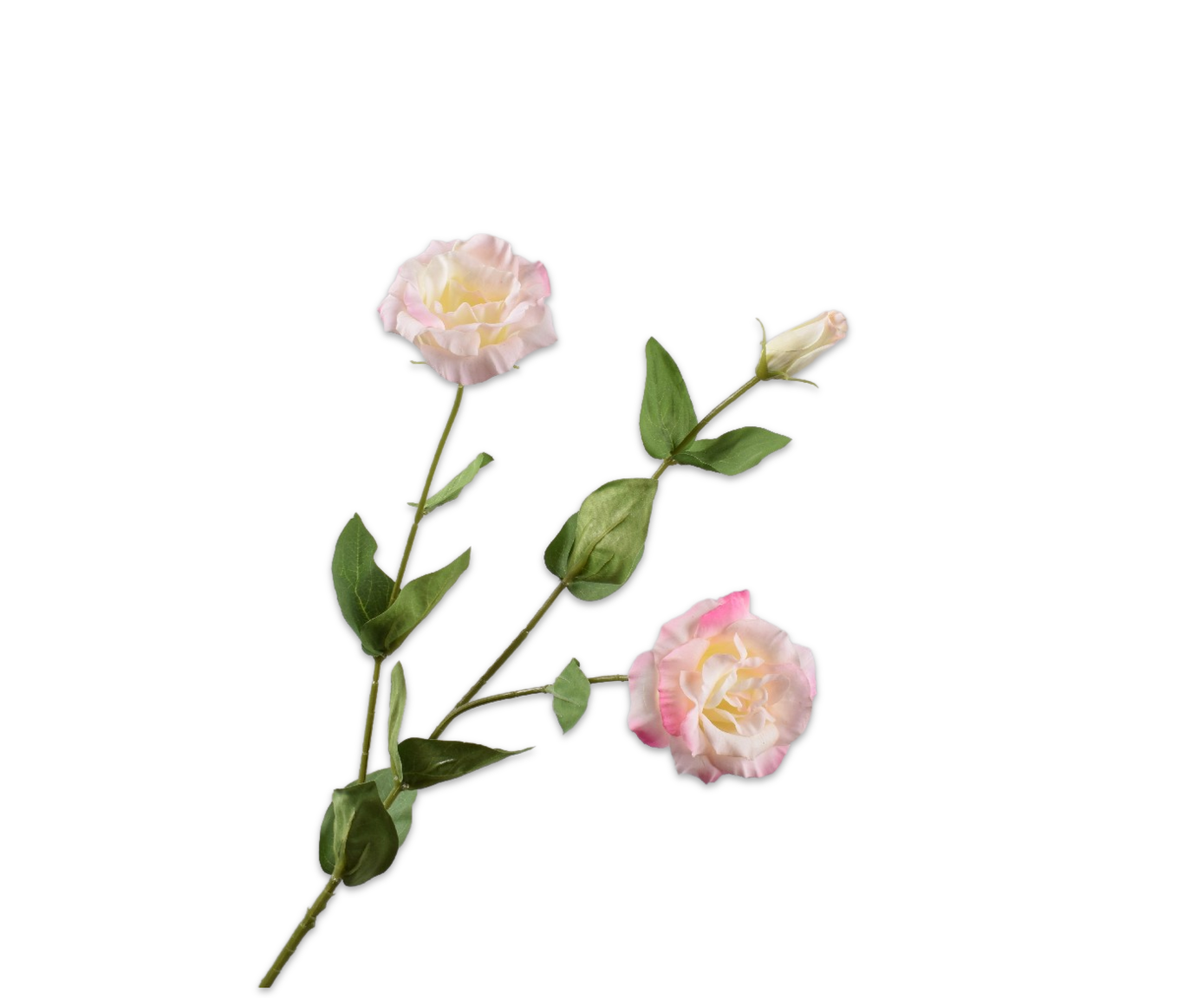 Lisianthus Spray CR/PNK 71 cm