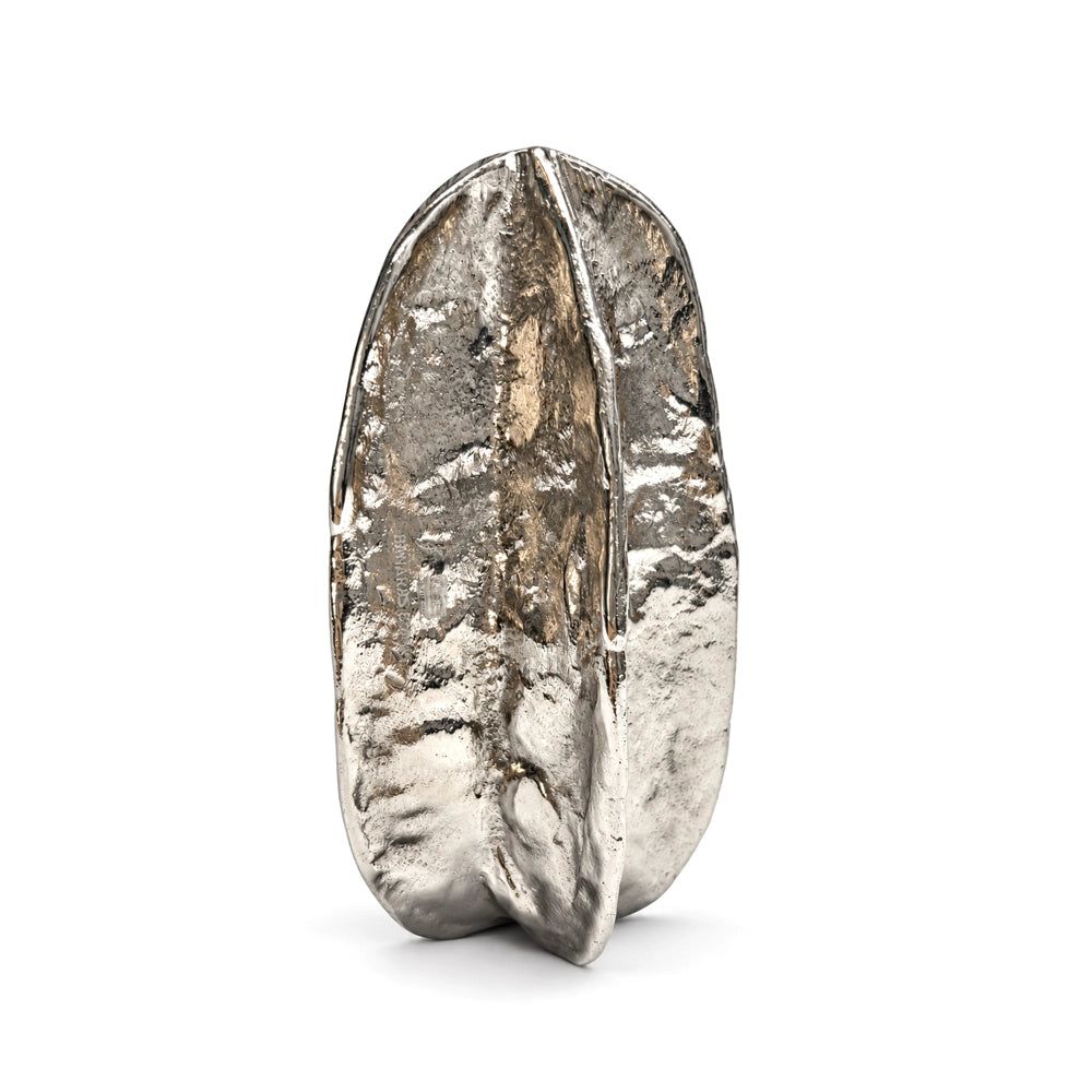 Starfruit Nickel