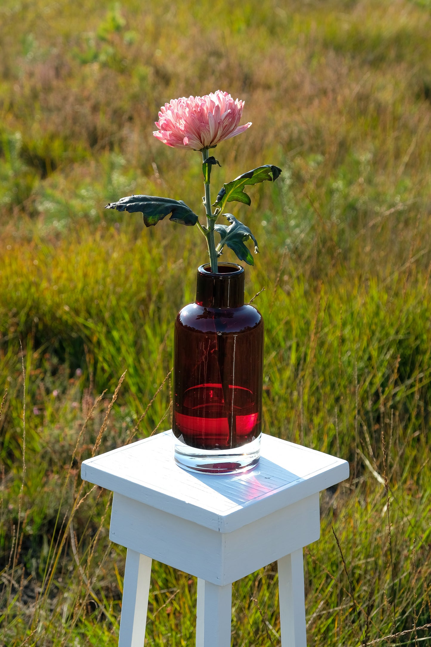 Fred Bottle High Red