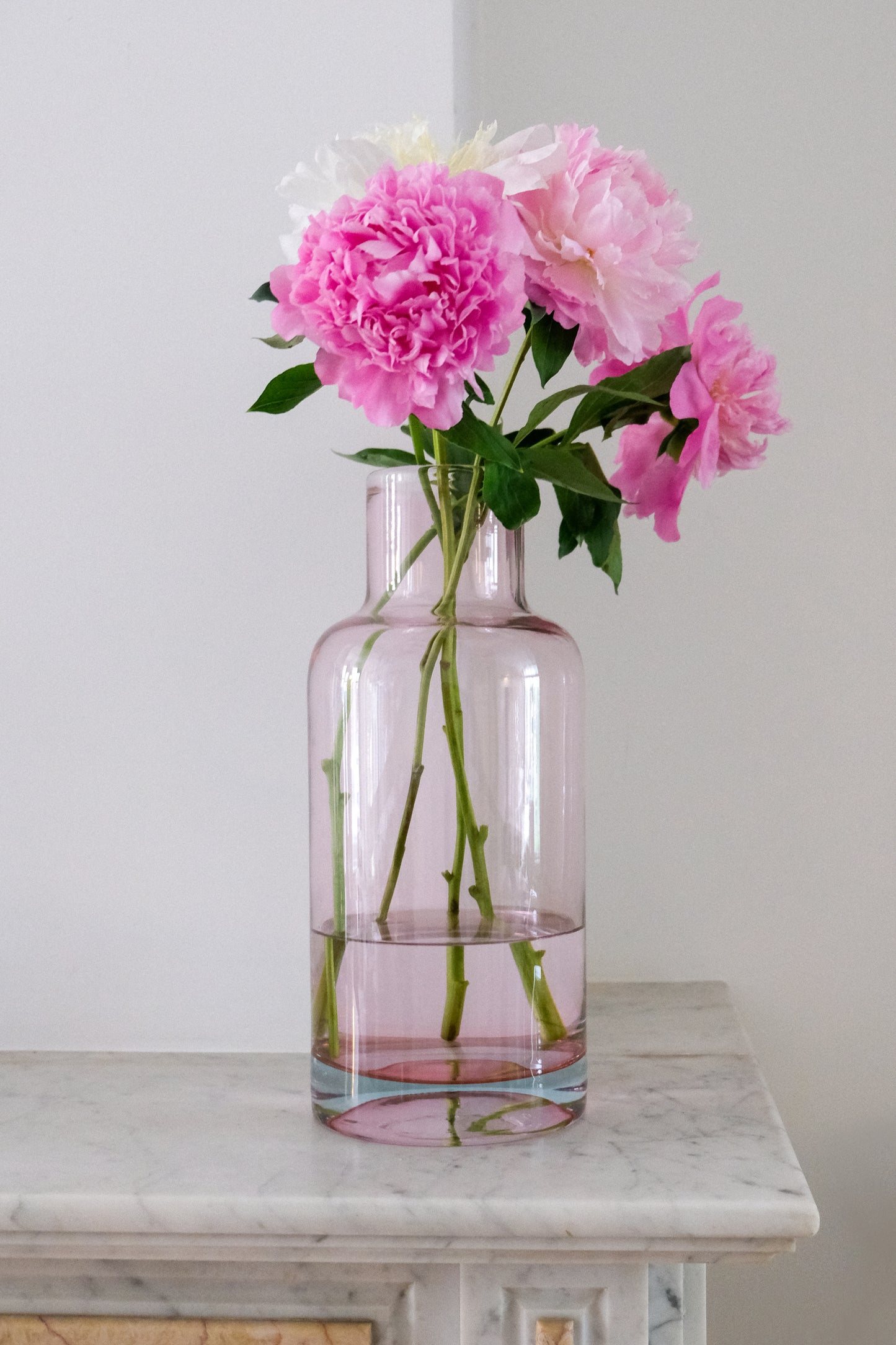 Fred Bottle High Rosé