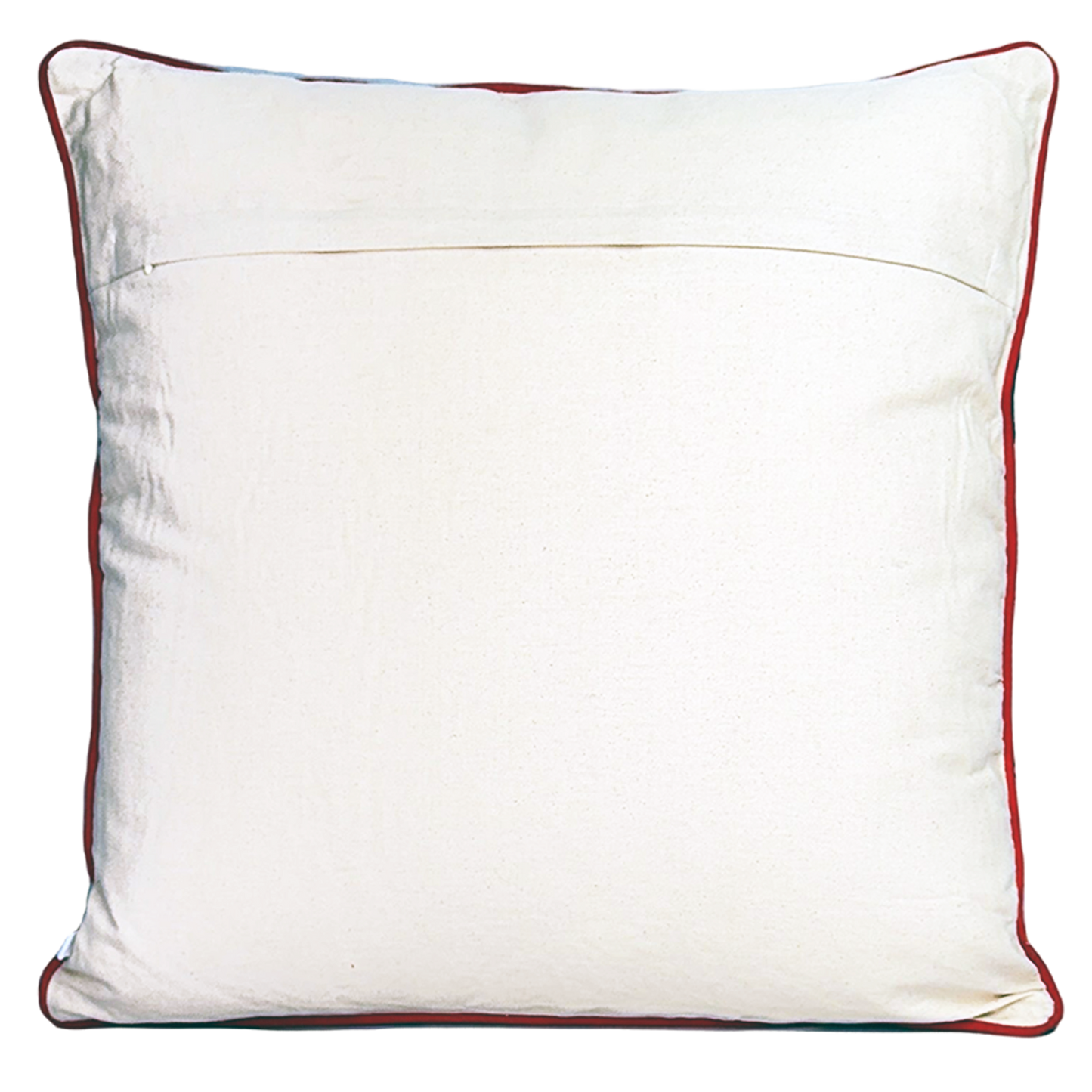 S Alphabet Cushion