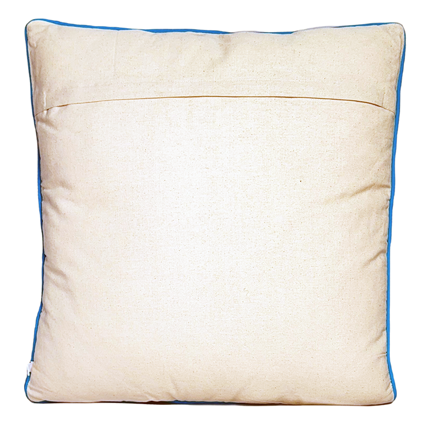 Z Alphabet Cushion