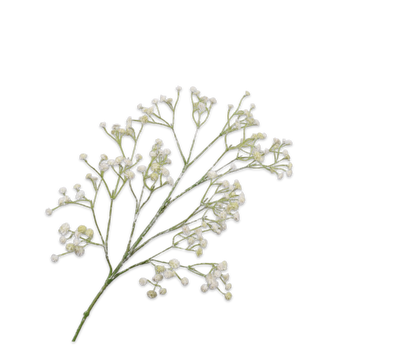 Gypsophila Spray White 67 cm