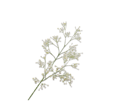 Gypsophila Spray White 90 cm
