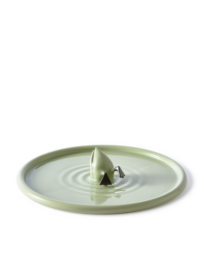 Diving Duck Plate