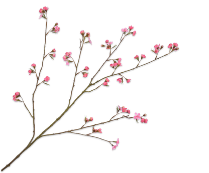 Blossom Spray Pink DK 119 cm