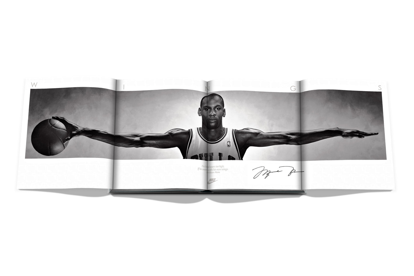 Air Jordan (Classic)
