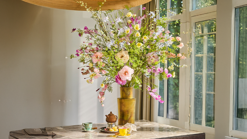 PLANTS & BOTANICALS