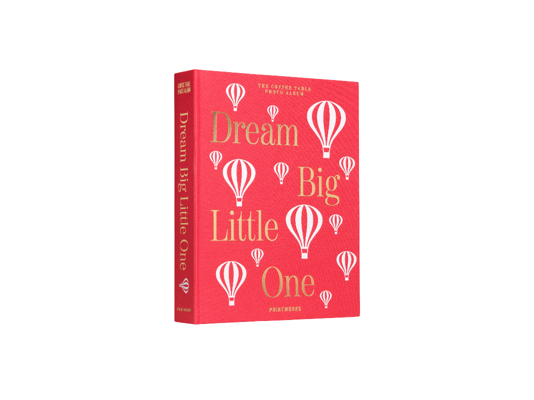 Dream Big Little One