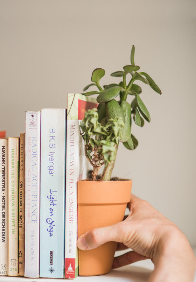 Plant Pot Bookends