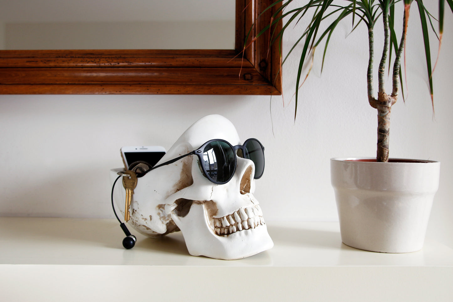 Skull Tidy