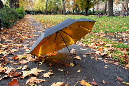 Black & Gold Umbrella