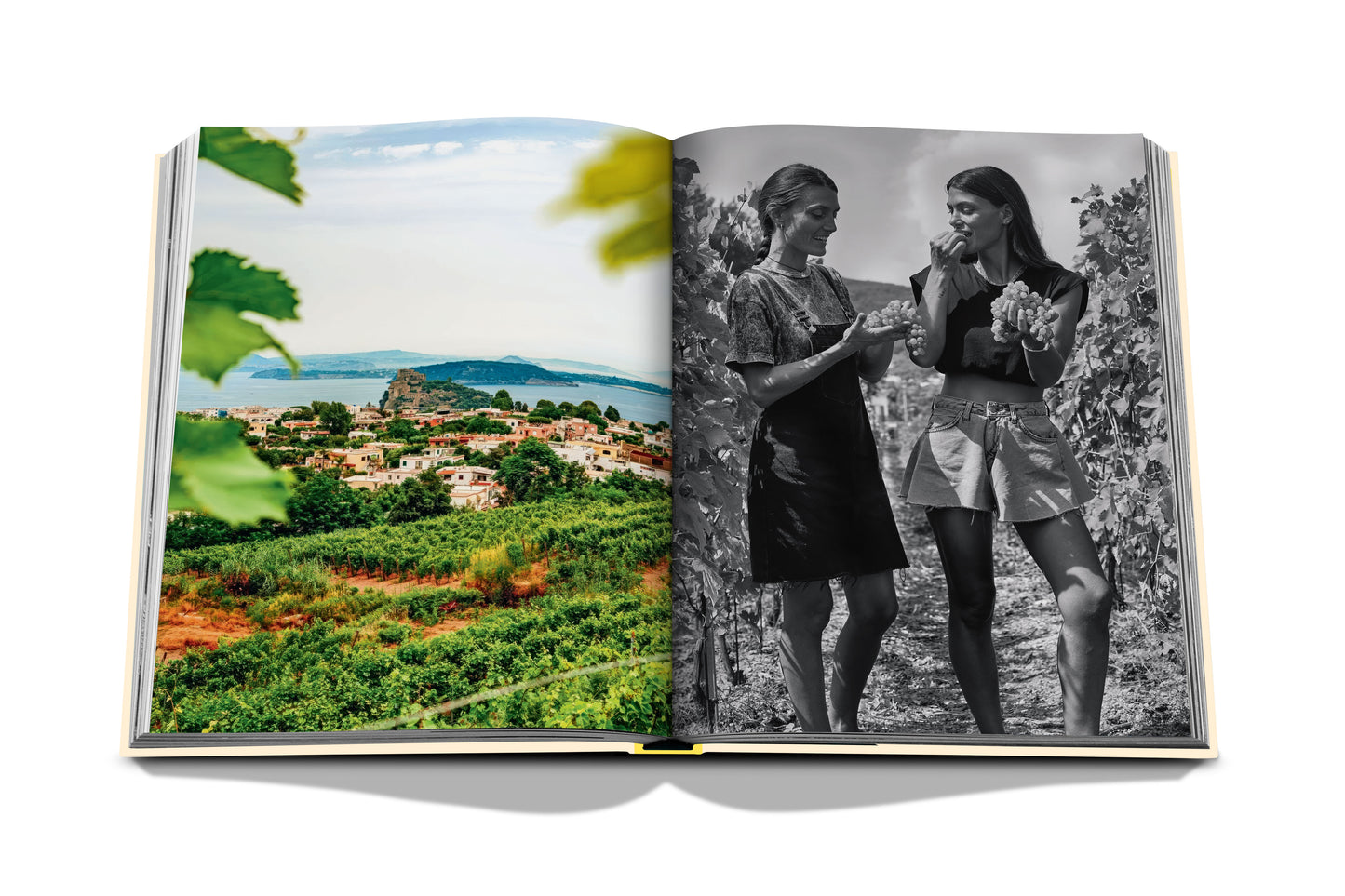 Wine & Travel  Mediterranean Islands